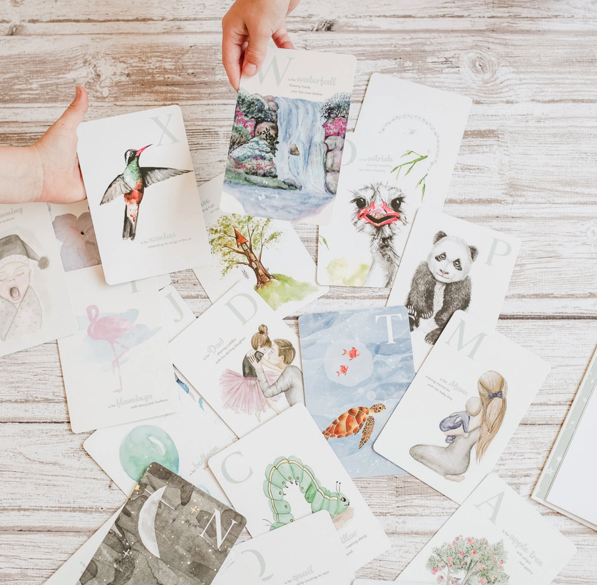 The Amazing ABC Flash Cards
