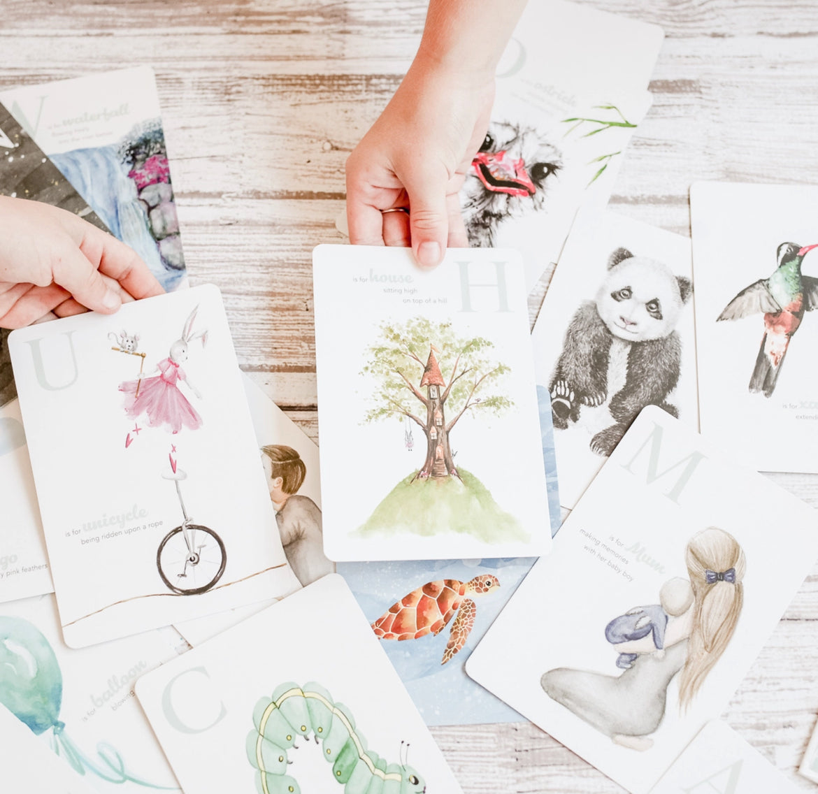 The Amazing ABC Flash Cards