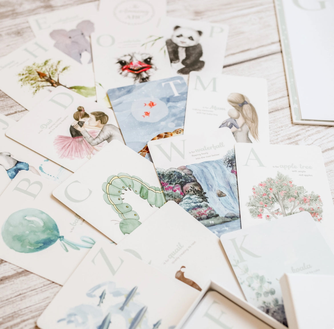 The Amazing ABC Flash Cards